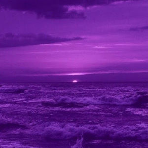 Meet your Posher, Joselyn